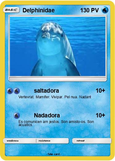 Pokemon Delphinidae