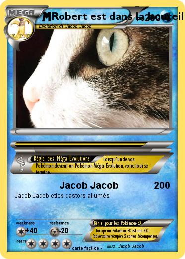 Pokemon Robert est dans la bouteille