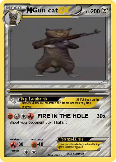 Pokemon Gun cat