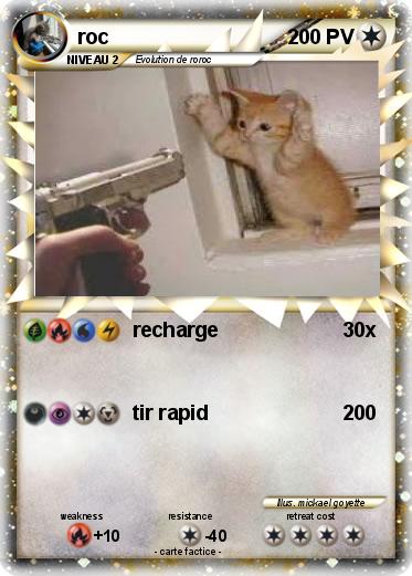 Pokemon roc
