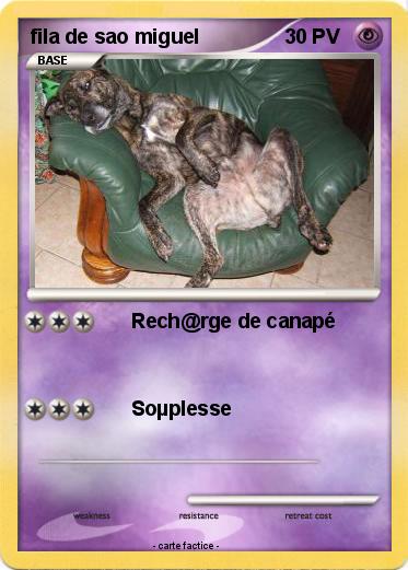 Pokemon fila de sao miguel