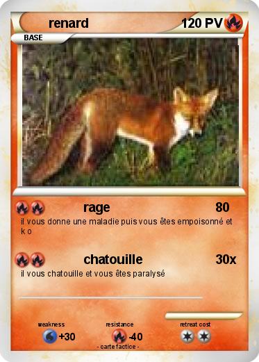 Pokemon renard