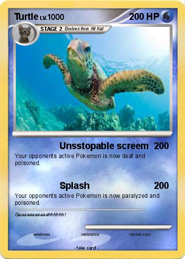 Pokemon Turtle