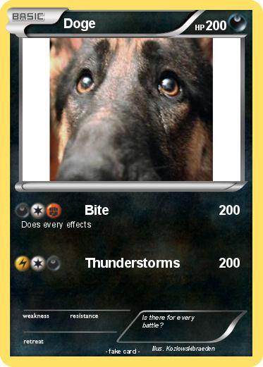 Pokemon Doge