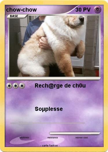 Pokemon chow-chow