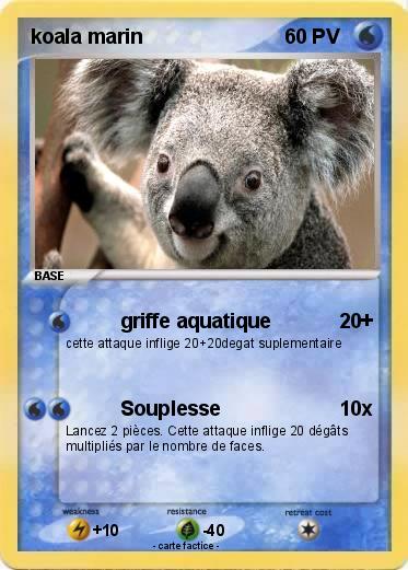 Pokemon koala marin