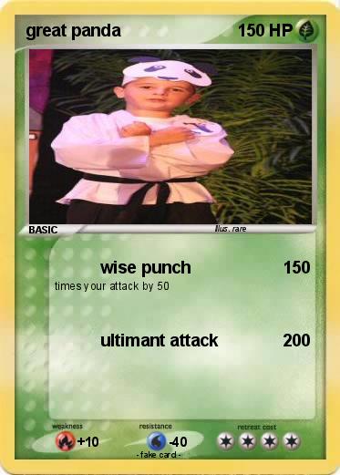 Pokemon great panda