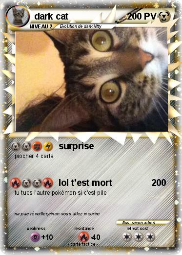 Pokemon dark cat