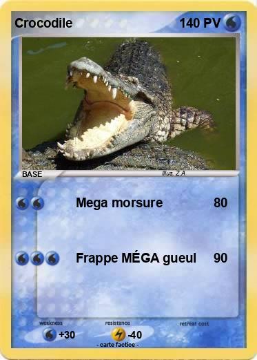 Pokemon Crocodile
