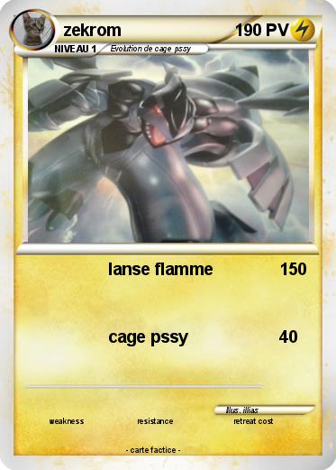 Pokemon zekrom