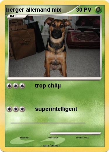 Pokemon berger allemand mix