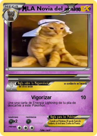 Pokemon LA Novia del arabe