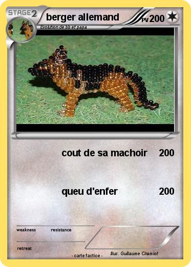Pokemon berger allemand