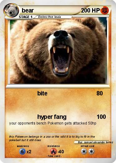 Pokemon bear