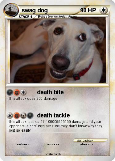 Pokemon swag dog