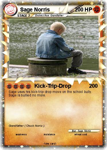 Pokemon Sage Norris