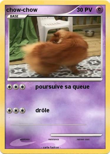 Pokemon chow-chow