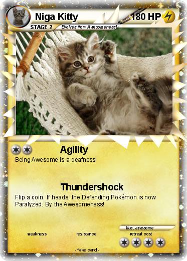 Pokemon Niga Kitty