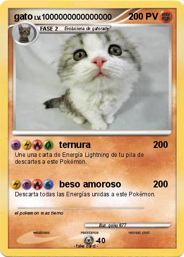 Pokemon gato