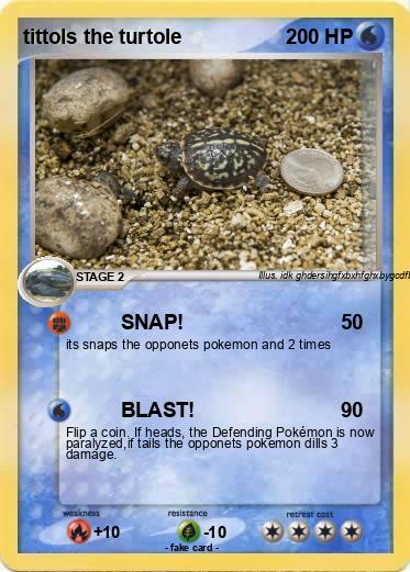 Pokemon tittols the turtole