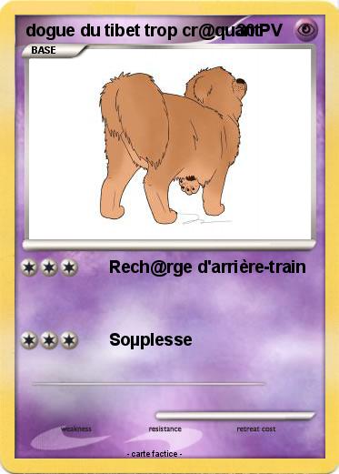 Pokemon dogue du tibet trop cr@quant