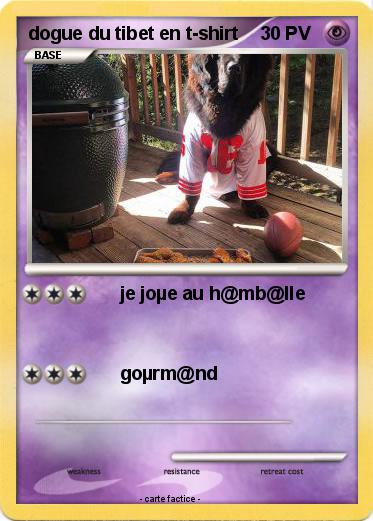 Pokemon dogue du tibet en t-shirt