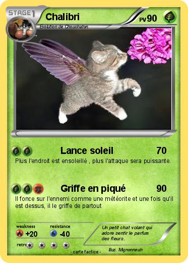 Pokemon Chalibri