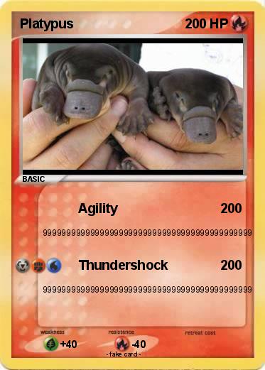 Pokemon Platypus