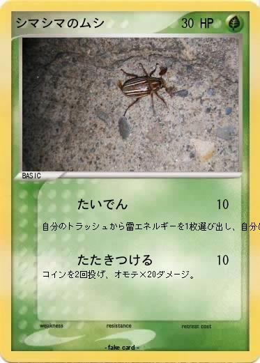 Pokemon シマシマのムシ