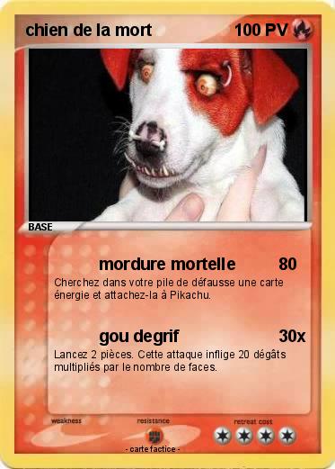 Pokemon chien de la mort