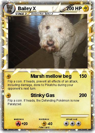 Pokemon Bailey X