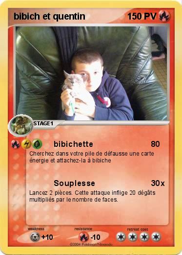 Pokemon bibich et quentin