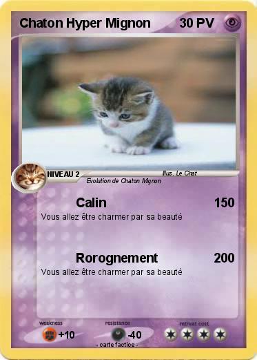 Pokemon Chaton Hyper Mignon