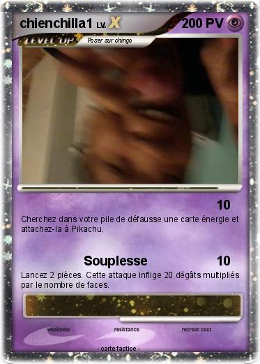 Pokemon chienchilla1