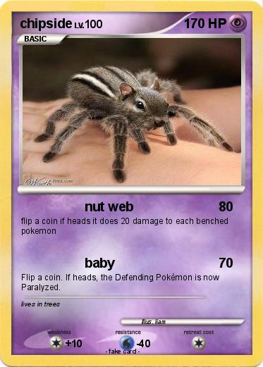 Pokemon chipside