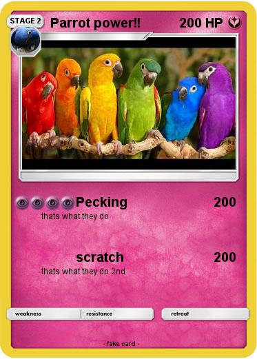 Pokemon Parrot power!!