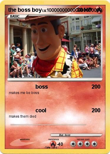 Pokemon the boss boy