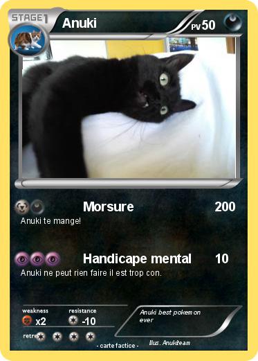 Pokemon Anuki
