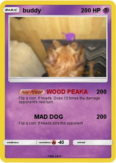 Pokemon buddy