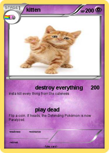 Pokemon kitten