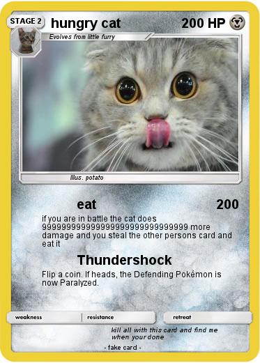 Pokemon hungry cat