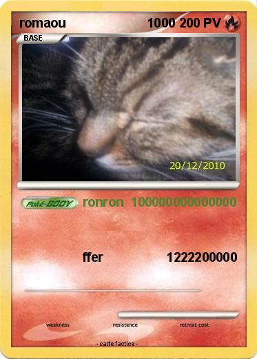 Pokemon romaou                       1000