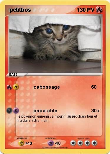 Pokemon  petitbos