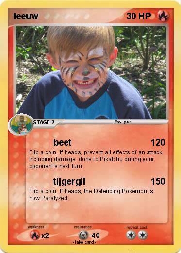 Pokemon leeuw
