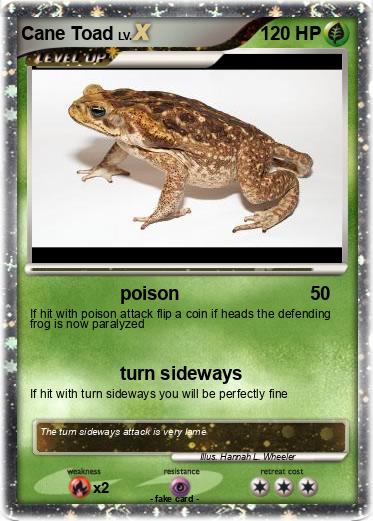 Pokemon Cane Toad