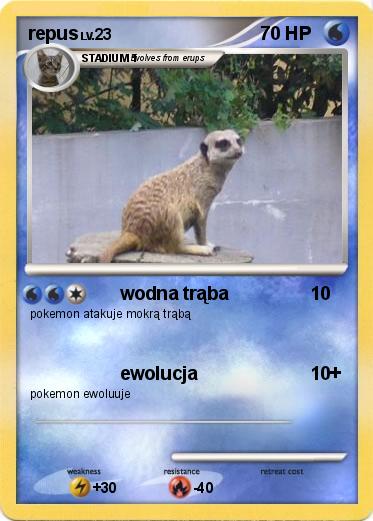 Pokemon repus