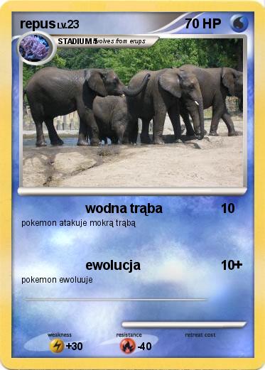 Pokemon repus