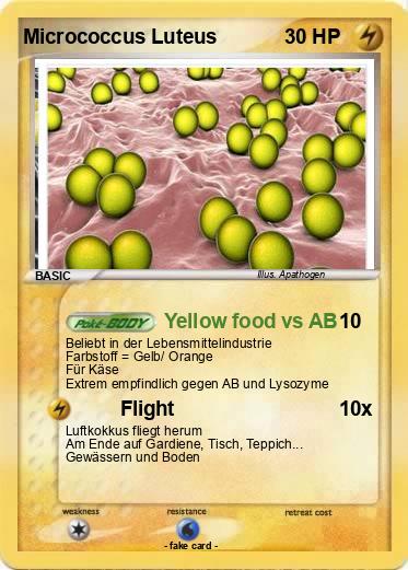Pokemon Micrococcus Luteus