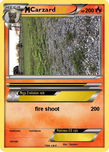 Pokemon Carzard