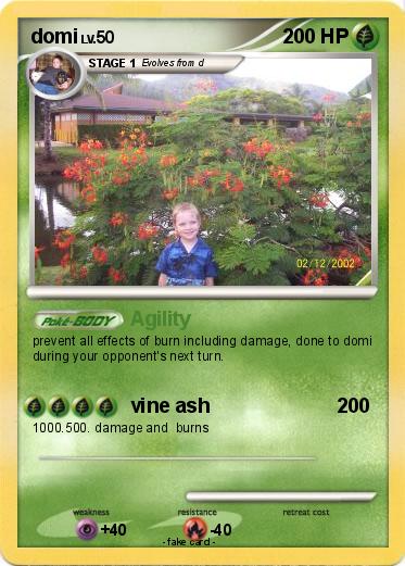 Pokemon domi